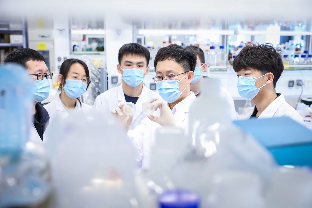 本站按公开材料组织页面