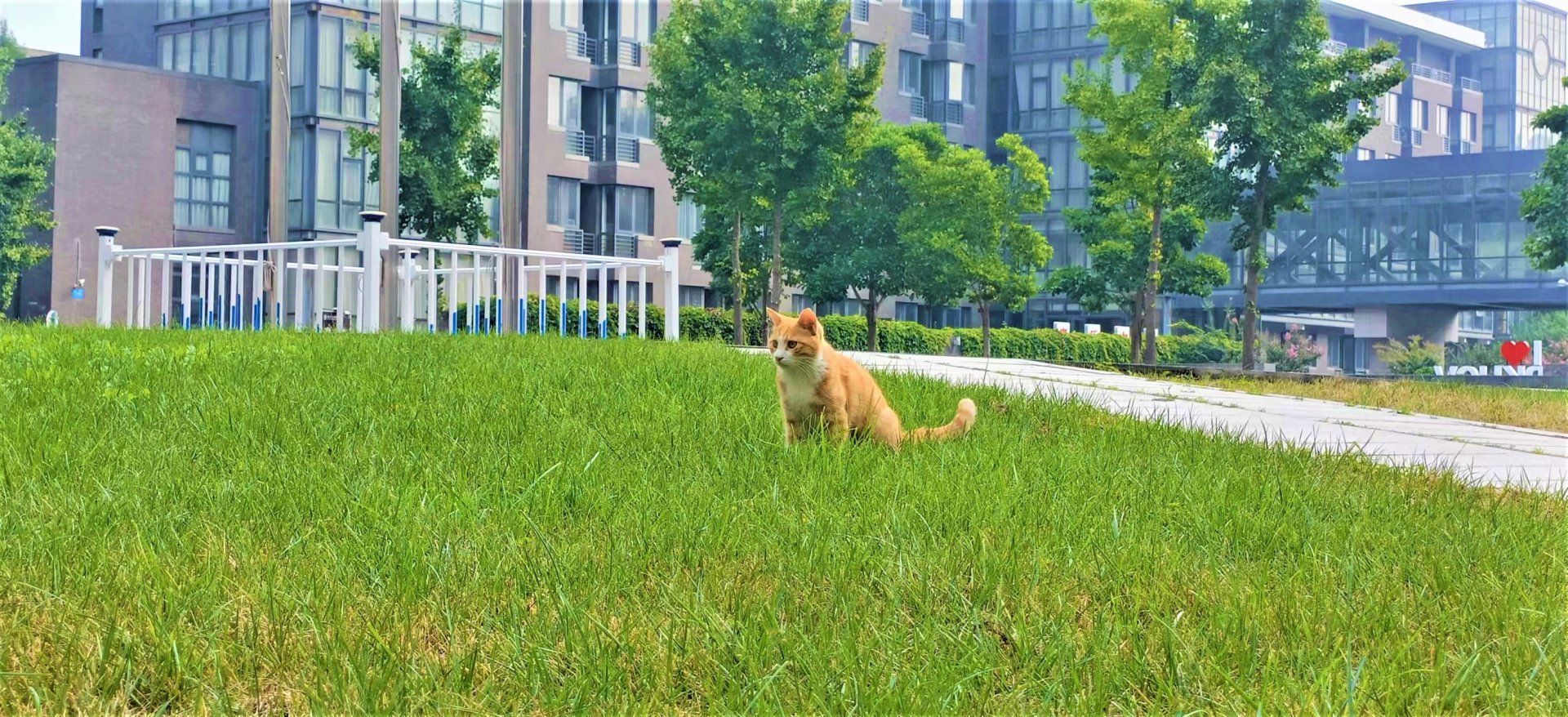 eyu乐鱼官方在线登录